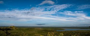 An Amazonian experience unlike any other