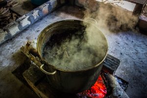 Amazonian traditions revisited: Ayahuasca encounters