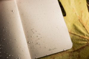 Journals for journeys, come rain or shine