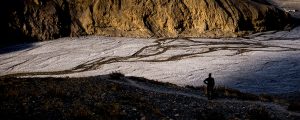 Wandering in the Himalayas