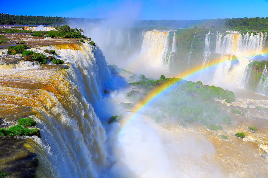 Jaguar Jungles and Wildlife in Brazil
