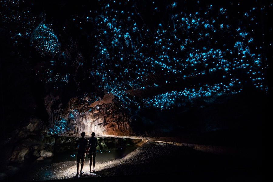 New Zealand: The Definitive South Island Trip