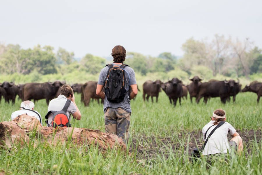 Seriously Fun Safari School