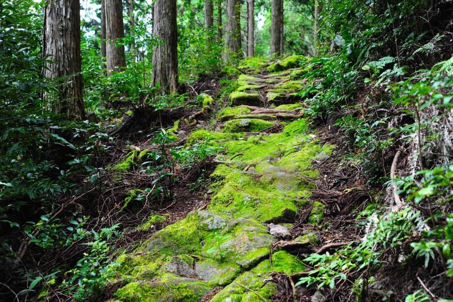 Japan’s Sacred Trails: Kumano Kodo