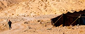 Six Marathons in the Desert: Part 2