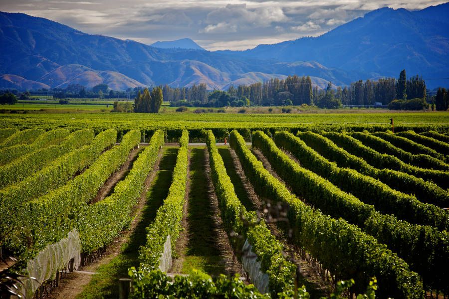 New Zealand’s South Island Definitive Trip
