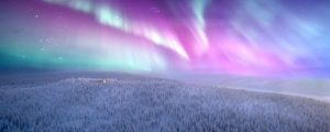 Northern Lights Sanctuary