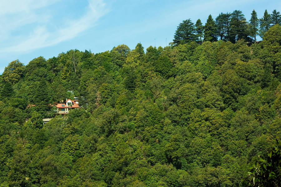 <span style="color: red;">STAY</span> INDIA
