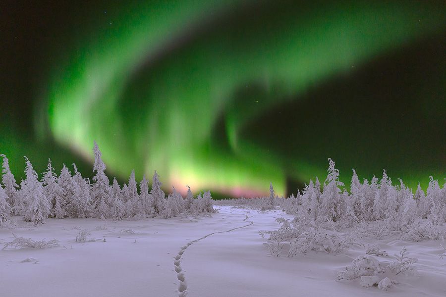 Capturing Auroras