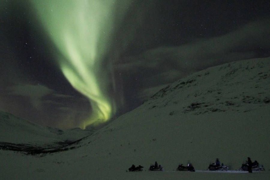 A Show of Norwegian Lights