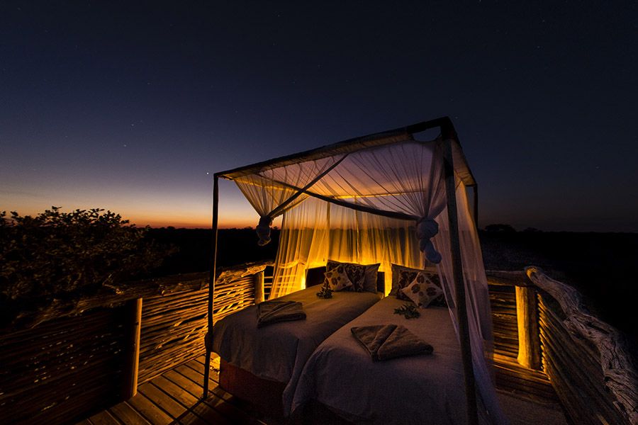 Botswana: Skybeds & Game