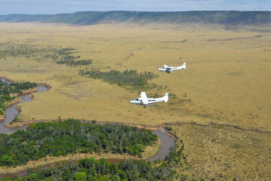 Wild Wing over Kenya