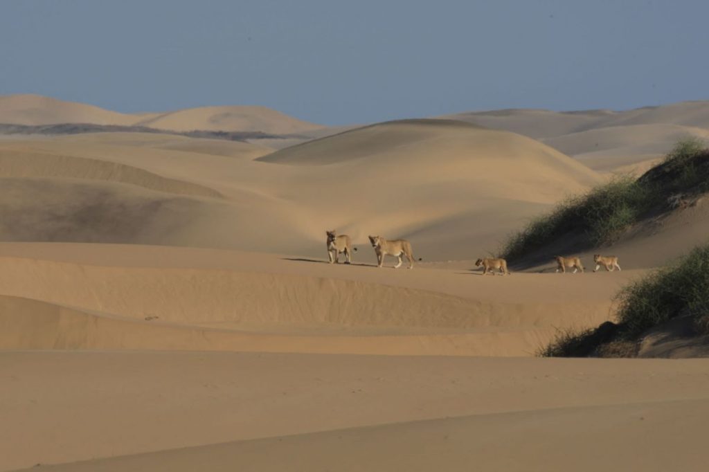 Boundless Namibia