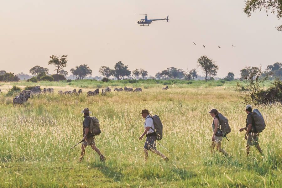 Heli-Safari in Botswana