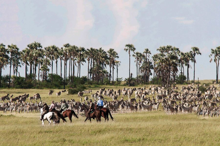 Botswana: Horizons of the Kalahari