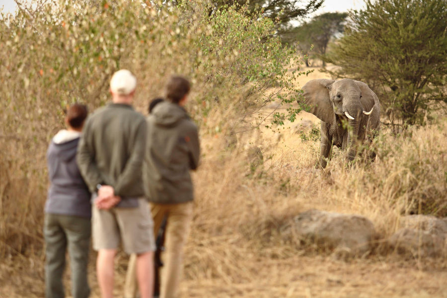 Tanzania: Wild Family Holiday