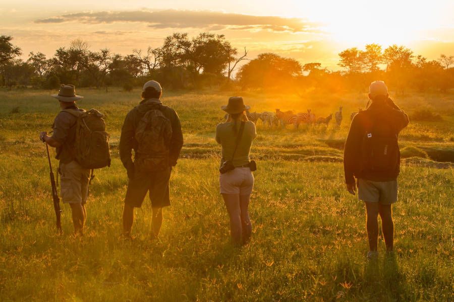 A Walk on the Wild Side of Botswana