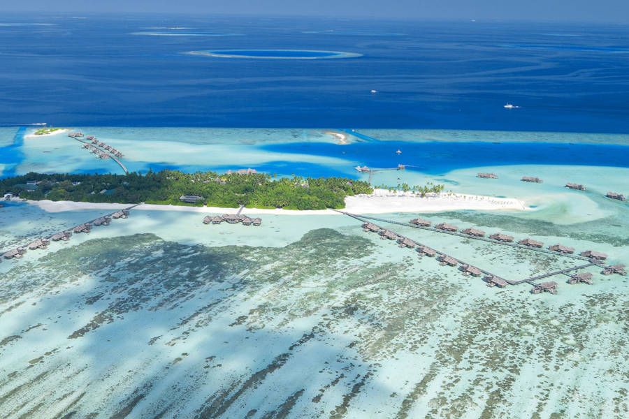 Gili Lankanfushi: Andrea's Favourite